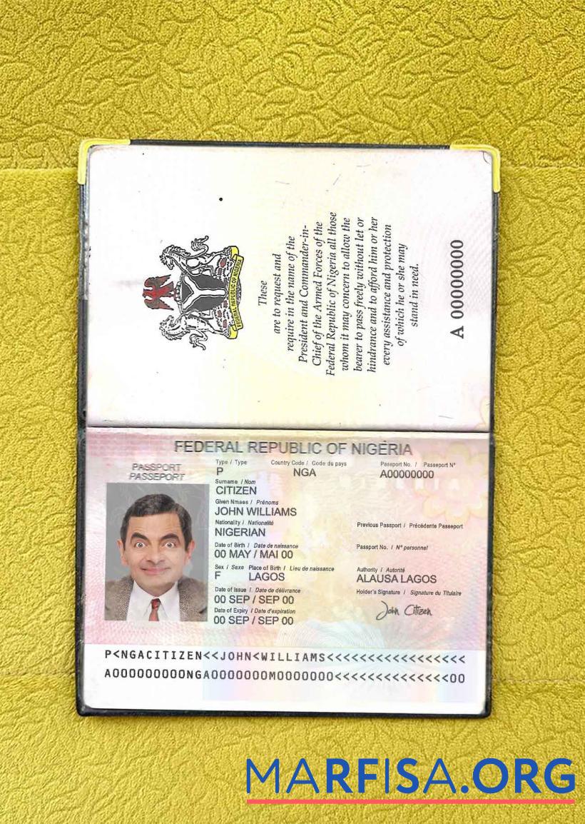 Realistic Nigeria passport (2007 2019) photo look example